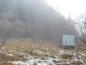 Dražba louky, Horní Planá, 3804 m2