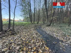 Prodej lesa, Velká Polom, 1901 m2