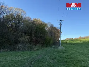 Prodej lesa, Velká Polom, 1901 m2