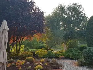 Pronájem rodinného domu, Popovičky, Na Skalce, 242 m2