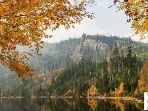 Prodej pozemku pro bydlení, Horní Planá, 875 m2