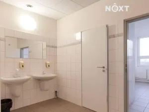 Pronájem kanceláře, České Budějovice, K. Světlé, 55 m2