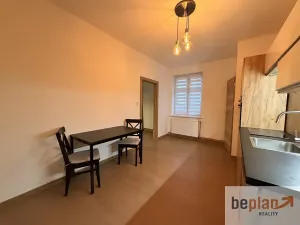 Pronájem bytu 1+1, Děčín, Hálkova, 44 m2