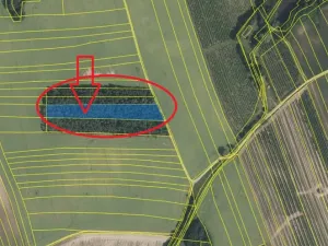 Prodej podílu lesa, Kojice, 4203 m2