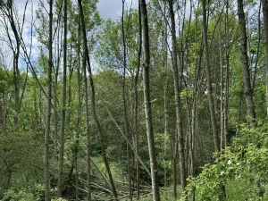 Prodej podílu pozemku, Suchdol, 3247 m2