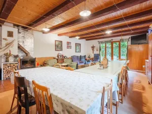 Prodej rodinného domu, Březina, 300 m2