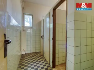 Prodej restaurace, Vodňany - Křtětice, 872 m2