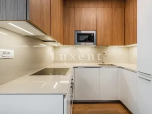 Pronájem bytu 2+kk, Praha, Holečkova, 78 m2