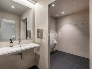 Pronájem bytu 2+kk, Praha, Holečkova, 78 m2