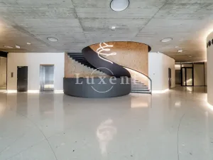 Pronájem bytu 2+kk, Praha, Holečkova, 78 m2