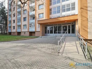 Prodej bytu 2+1, Brno, Horácké náměstí, 71 m2