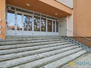 Prodej bytu 2+1, Brno, Horácké náměstí, 71 m2