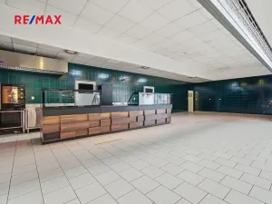 Pronájem obchodního prostoru, Plzeň, 181 m2