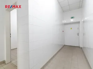Pronájem obchodního prostoru, Plzeň, 181 m2