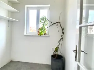 Pronájem bytu 2+kk, Brno, Merhautova, 53 m2