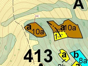 Dražba lesa, Zděchov, 2428 m2