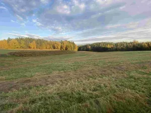 Dražba louky, Cvikov, 7470 m2