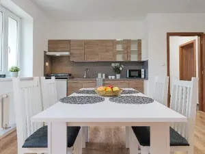 Pronájem apartmánu, Ostrava, Riegrova, 300 m2