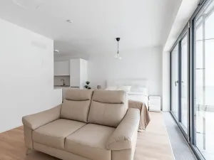 Pronájem bytu 1+kk, Brno, Lidická, 41 m2