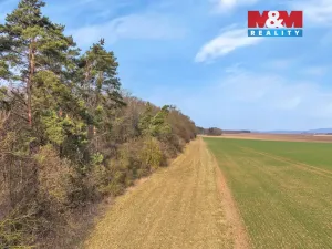 Prodej lesa, Slatiny, 6169 m2