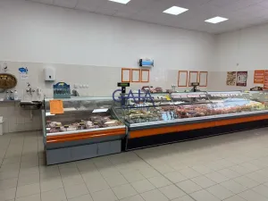 Prodej obchodního prostoru, Dačice, B. Němcové, 600 m2