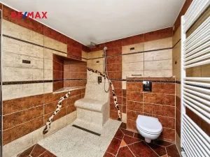 Prodej zemědělské usedlosti, Nové Hrady, 253 m2