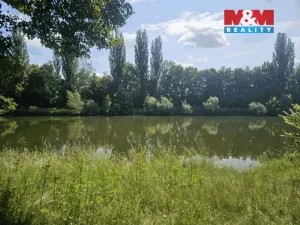 Prodej louky, Hradec Králové - Pražské Předměstí, 4850 m2