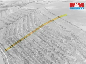 Prodej pole, Morkůvky, 2424 m2