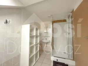 Prodej ubytování, Zlaté Hory, 330 m2