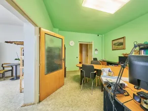 Prodej výrobních prostor, Seletice, 19535 m2