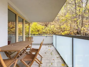 Pronájem bytu 4+kk, Praha - Žižkov, Jeseniova, 117 m2