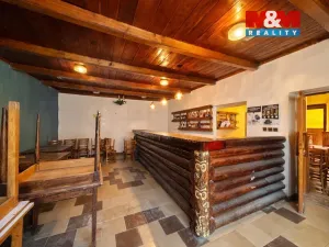 Pronájem restaurace, Kasejovice, 700 m2
