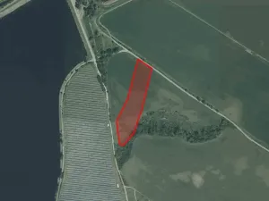 Prodej pole, Šakvice, 14834 m2