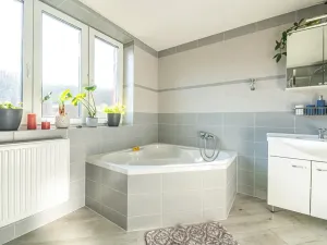 Prodej rodinného domu, Plavy, 336 m2