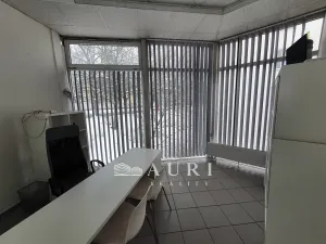 Pronájem obchodního prostoru, Rakovník, Dukel. hrdinů, 412 m2