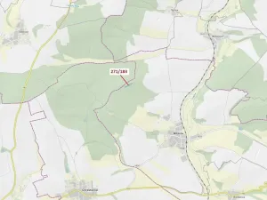 Dražba lesa, Milavče, 2398 m2