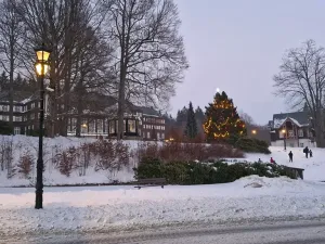 Prodej pozemku pro bydlení, Karlova Studánka, 900 m2