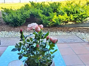 Prodej rodinného domu, Doubravy, 190 m2