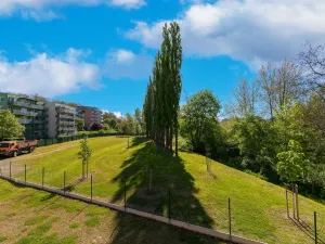 Pronájem bytu 2+kk, Plzeň - Severní Předměstí, Bolevecká, 58 m2