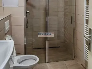 Prodej bytu 1+1, Plzeň, Guldenerova, 48 m2