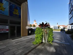 Pronájem obchodního prostoru, Strakonice, Bezděkovská, 58 m2