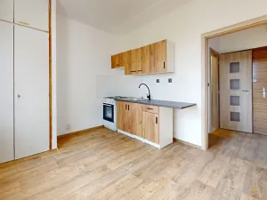 Pronájem bytu 1+1, Olomouc, Heyrovského, 32 m2