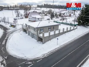 Prodej obchodního prostoru, Šumavské Hoštice - Kosmo, 316 m2