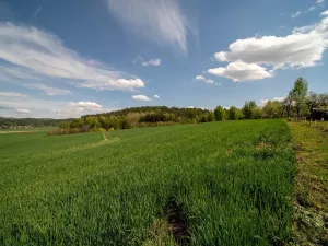 Prodej pozemku, Samšina - Betlem, 1900 m2