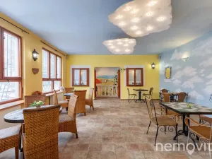 Prodej restaurace, Týnec nad Sázavou, 479 m2