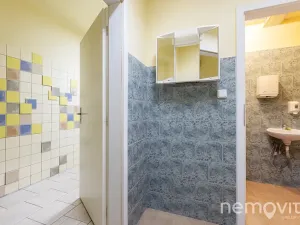 Prodej restaurace, Týnec nad Sázavou, 479 m2