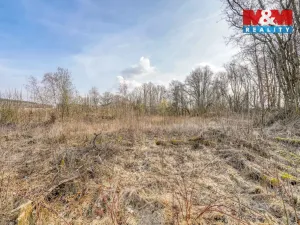 Prodej pozemku pro bydlení, Třemešné - Nová Ves, 1482 m2