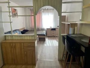 Prodej bytu 1+kk, České Budějovice, V. Volfa, 31 m2