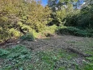 Prodej lesa, Březolupy, 29958 m2