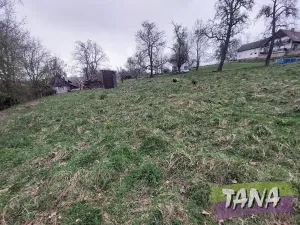 Prodej pozemku pro bydlení, Karlovice, 998 m2